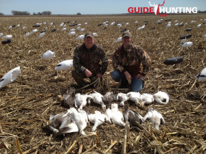 Snow Goose Hunting Guide Picture