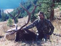 Tim Dowd With Elk